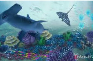 BET365官方网站2024最新版